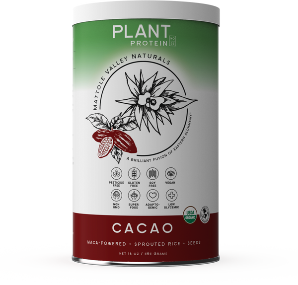 Vegan Plant Protein - Raw Cacao