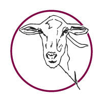 Goat Milk Proteins