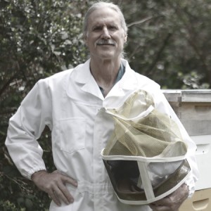 dad-bees